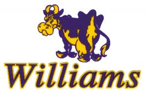 purple cow